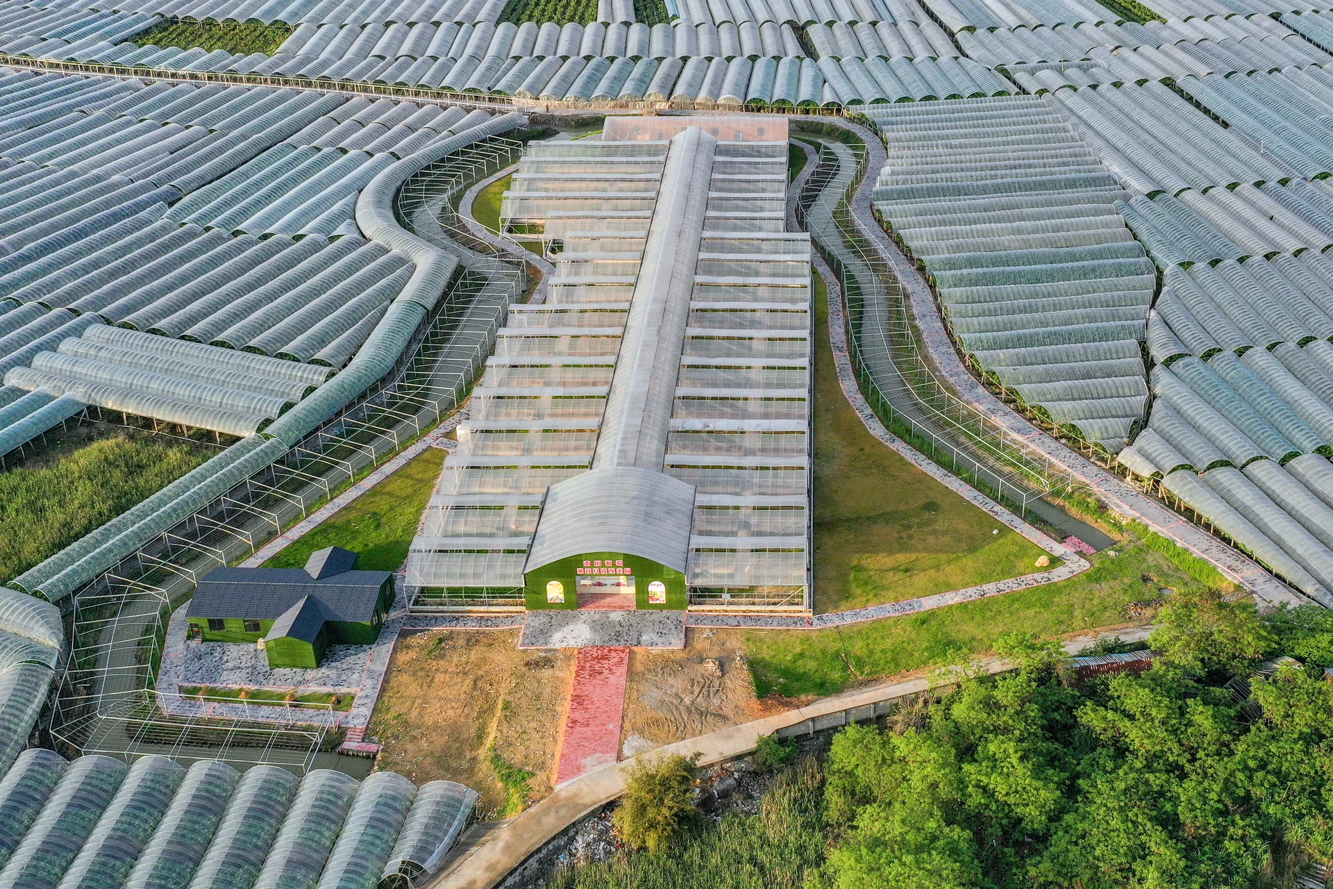 福安葡萄品种示范棚航拍